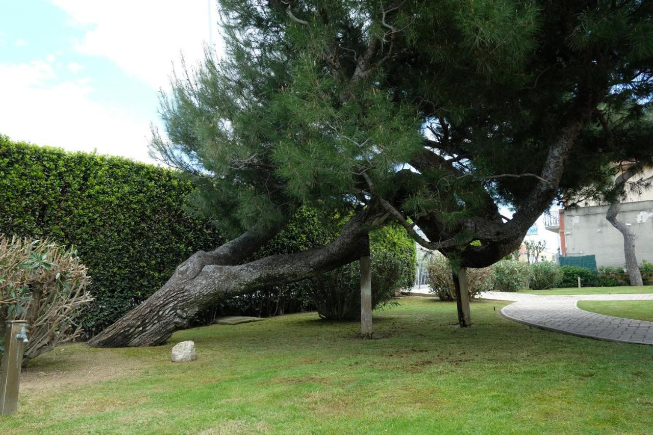Invento Bnb Unconventional Maison チヴィタノーヴァ・マルケ エクステリア 写真